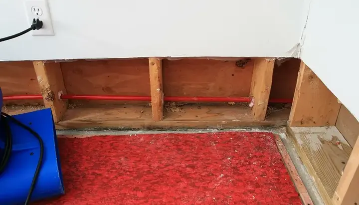 Lower wall opened with an air mover drying the framing